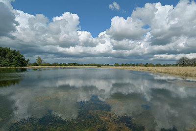 BUITEN BEELD Foto: 284285