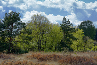 BUITEN BEELD Foto: 284286