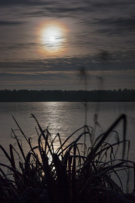 BUITEN BEELD Foto: 284303
