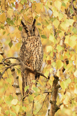 BUITEN BEELD Foto: 284305