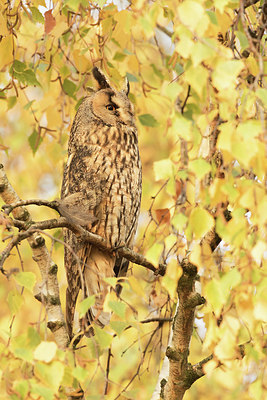 BUITEN BEELD Foto: 284306