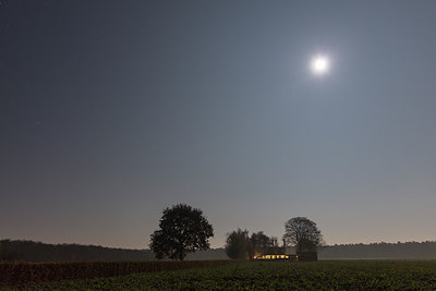 BUITEN BEELD Foto: 284308