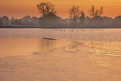 BUITEN BEELD Foto: 284310