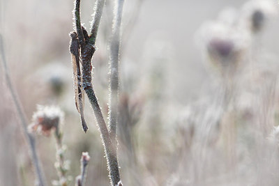 BUITEN BEELD Foto: 284317