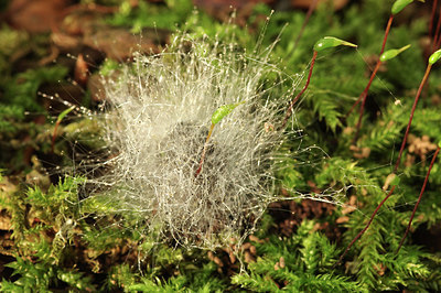 BUITEN BEELD Foto: 284397