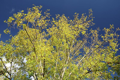 BUITEN BEELD Foto: 284419