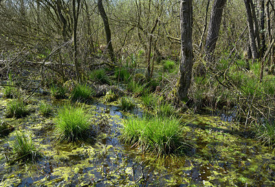 BUITEN BEELD Foto: 284431