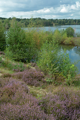 BUITEN BEELD Foto: 284436