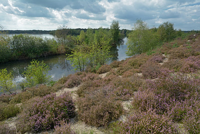 BUITEN BEELD Foto: 284437