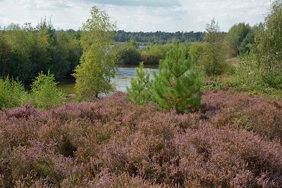 BUITEN BEELD Foto: 284441