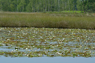 BUITEN BEELD Foto: 284448