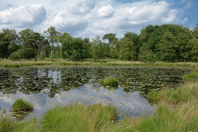 BUITEN BEELD Foto: 284451