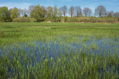 BUITEN BEELD Foto: 284454