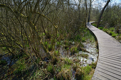 BUITEN BEELD Foto: 284455