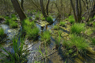 BUITEN BEELD Foto: 284456