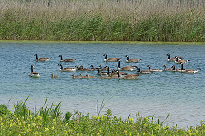 BUITEN BEELD Foto: 284458