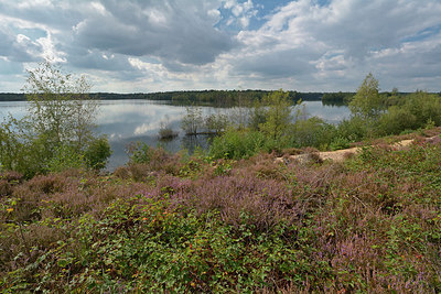 BUITEN BEELD Foto: 284462
