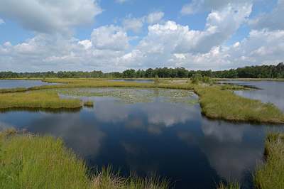 BUITEN BEELD Foto: 284470