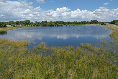 BUITEN BEELD Foto: 284475