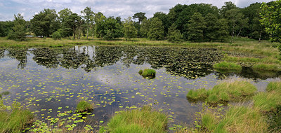 BUITEN BEELD Foto: 284510