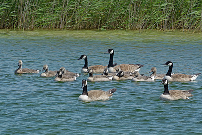 BUITEN BEELD Foto: 284513