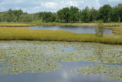 BUITEN BEELD Foto: 284514