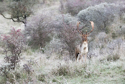 BUITEN BEELD Foto: 284515