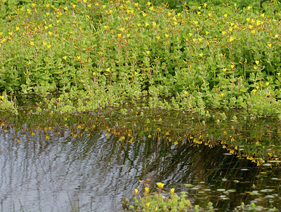 BUITEN BEELD Foto: 284525