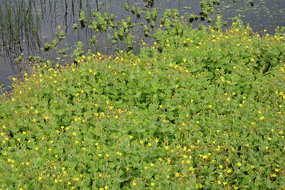BUITEN BEELD Foto: 284527