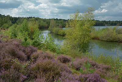 BUITEN BEELD Foto: 284529