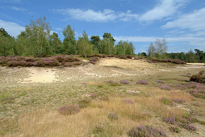 BUITEN BEELD Foto: 284530