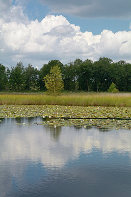 BUITEN BEELD Foto: 284536