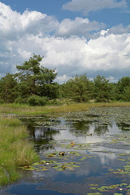 BUITEN BEELD Foto: 284540