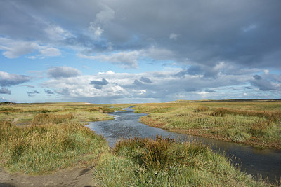 BUITEN BEELD Foto: 284549