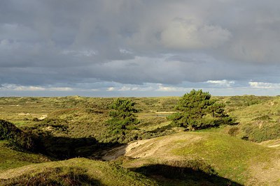 BUITEN BEELD Foto: 284558