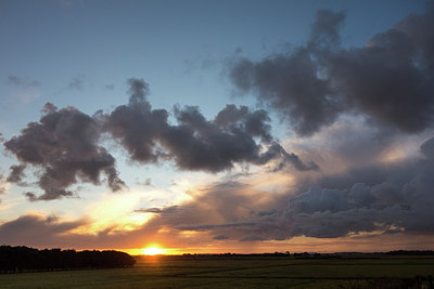 BUITEN BEELD Foto: 284585