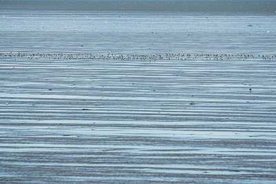 BUITEN BEELD Foto: 284588