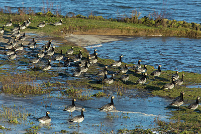BUITEN BEELD Foto: 284615