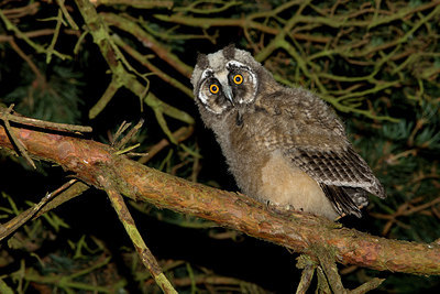 BUITEN BEELD Foto: 284624