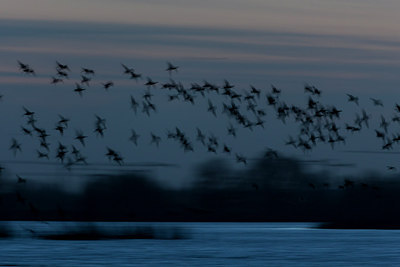 BUITEN BEELD Foto: 284678