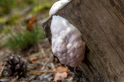 BUITEN BEELD Foto: 284696
