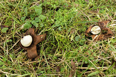 BUITEN BEELD Foto: 284711