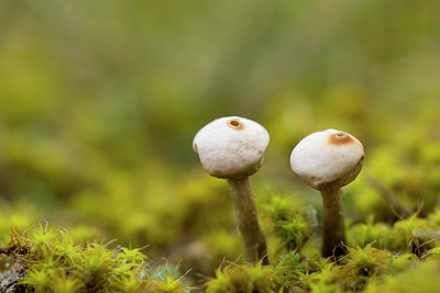 BUITEN BEELD Foto: 284712