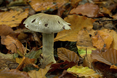 BUITEN BEELD Foto: 284723