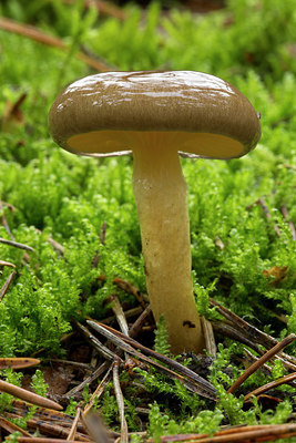 BUITEN BEELD Foto: 284747