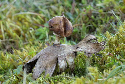 BUITEN BEELD Foto: 284772