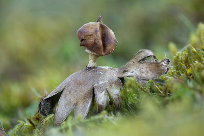 BUITEN BEELD Foto: 284773