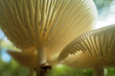 BUITEN BEELD Foto: 284781