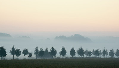 BUITEN BEELD Foto: 284800