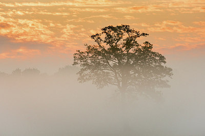 BUITEN BEELD Foto: 284801